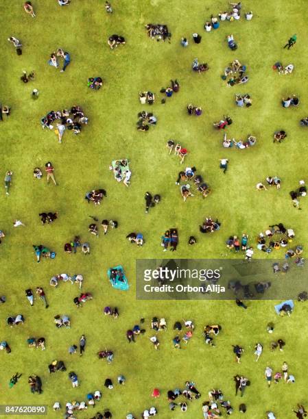 mensen te zonnebaden in central park - above central park stockfoto's en -beelden