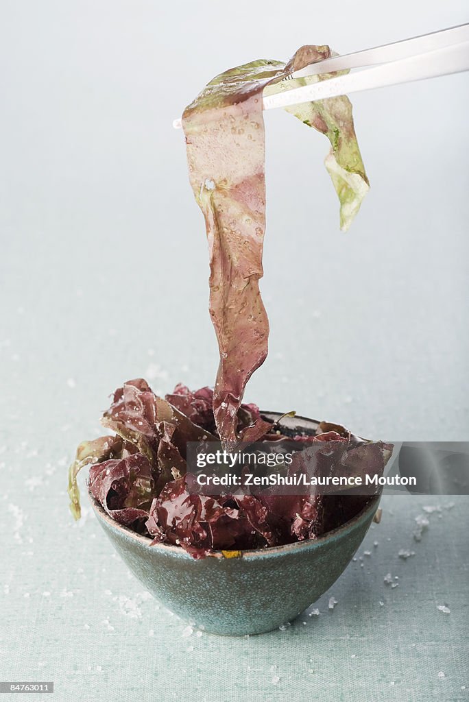 Bowl of seaweed, chopsticks picking up piece