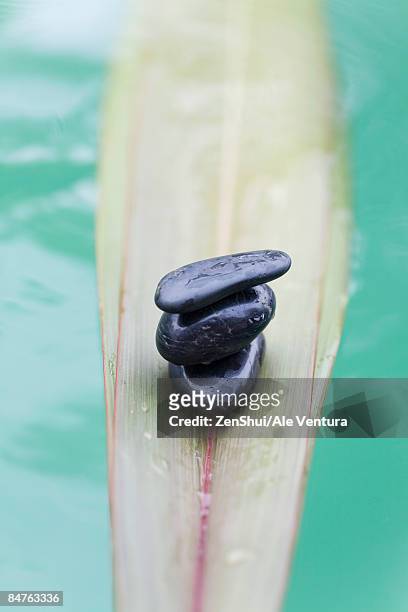stack of stones on palm leaf floating on water - natale stockfoto's en -beelden