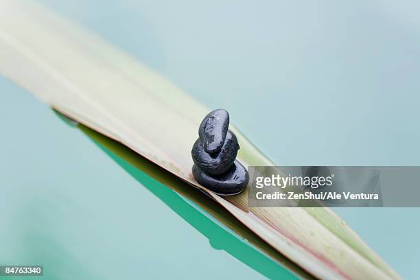pile of three stones on palm leaf floating on water - natale stockfoto's en -beelden