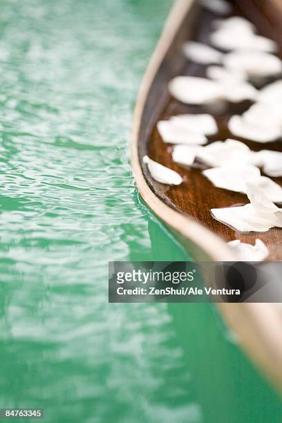 palm leaf floating on water, white flower petal scattered on leaf - natale stockfoto's en -beelden