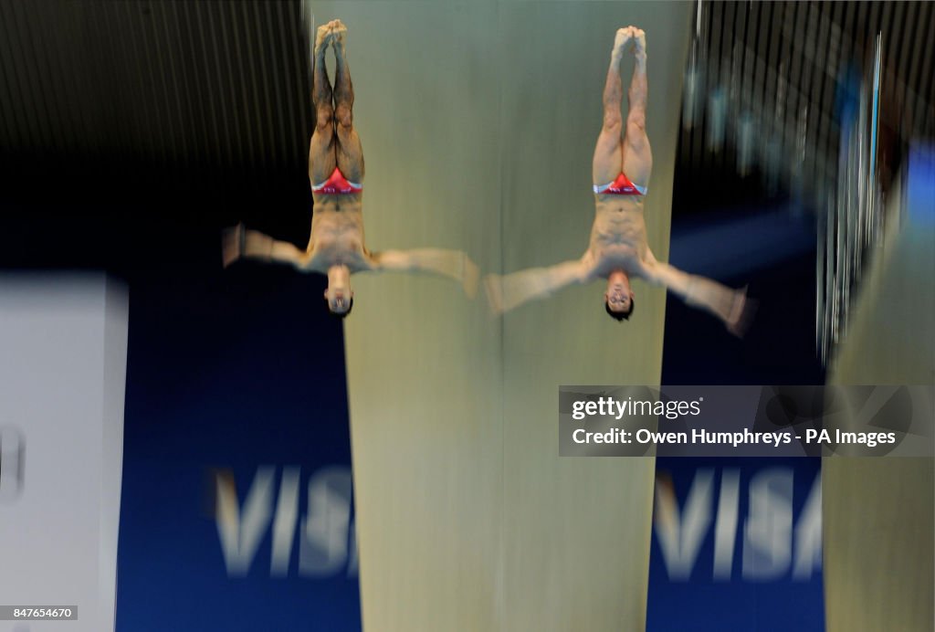 Diving - 18th FINA Visa Diving World Cup - Day Four - Olympic Aquatics Centre