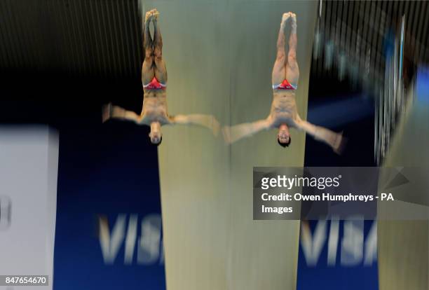 S David Boudia and Nick McCrory in the Men's Synchronised 10m Platform Final during the 18th FINA Visa Diving World Cup at the Aquatics Centre in the...