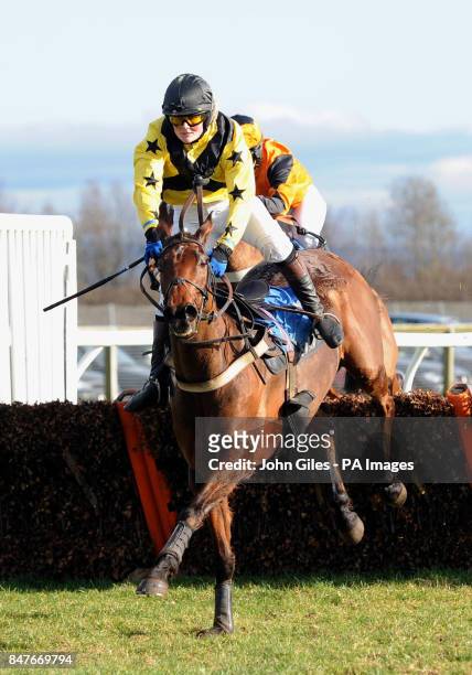 Joanne Brown and Andy Vic jump the final hurdle on their way to victory in the racinguk.com Lady Amateur Ridres Hurdle race at Catterick Racecourse.