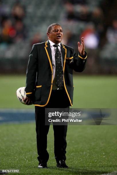 Springbok coach Alister Coetzee during the Rugby Championship match between the New Zealand All Blacks and the South African Springboks at QBE...