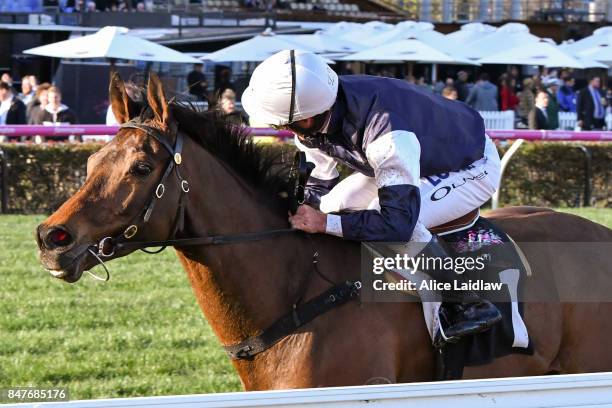 Almandin ridden by Damien Oliver wins the Japan Racing Association Trophy at Flemington Racecourse on September 16, 2017 in Flemington, Australia.