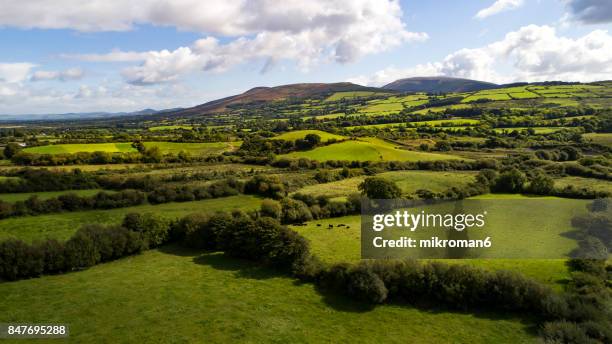 irish rural scene on sunny summer day in tipperary fields. ireland - grazing field stock pictures, royalty-free photos & images