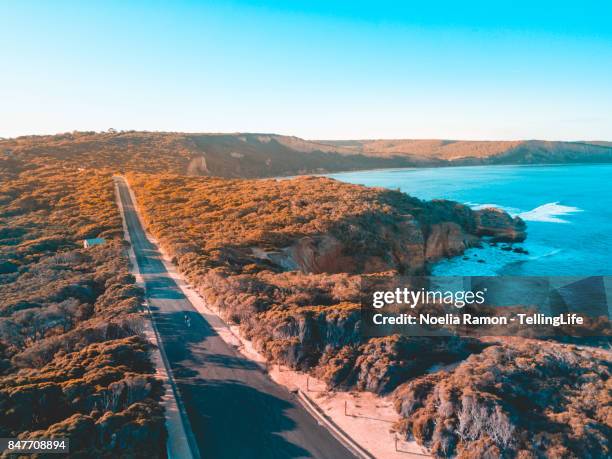 gritty women: aerial view of woman longboard skating - torquay stock pictures, royalty-free photos & images