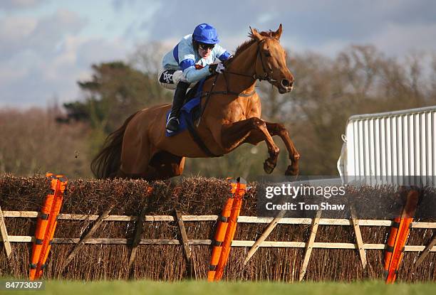 Torpichen ridden by Tony McCoy jumps the final fence to win the Facilitas Group, Juvenile, Novices Hurdles Race during the race meeting at Sandown...