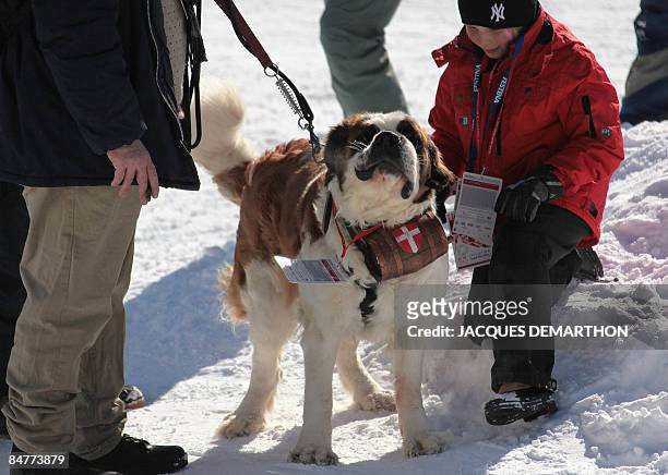 Child play with a Saint-Bernard dog during the men's giant slalom 2nd run at the World Ski Championships on February 13, 2009 in Val d'Isere, French...