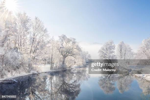 frost-covered trees mirrored on river in winter - baum schnee stock-fotos und bilder