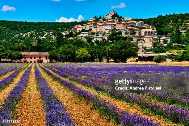 lavender in simiane la rotonde village, provence - vaucluse stock pictures, royalty-free photos & images