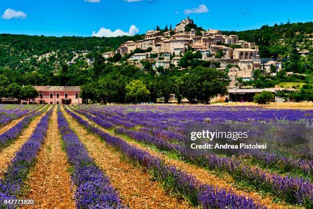 lavender in simiane la rotonde village, provence - vaucluse bildbanksfoton och bilder