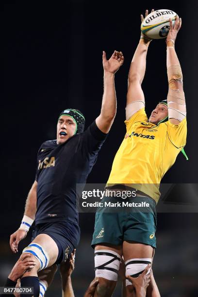 Sean McMahon of the Wallabies wins a lineout during The Rugby Championship match between the Australian Wallabies and the Argentina Pumas at Canberra...