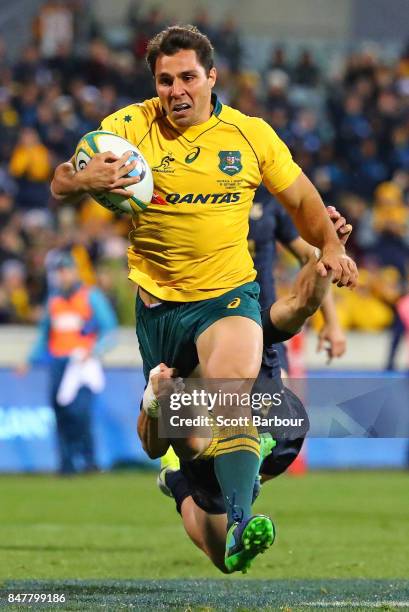 Nick Phipps of the Wallabies runs in to score a try during The Rugby Championship match between the Australian Wallabies and the Argentina Pumas at...