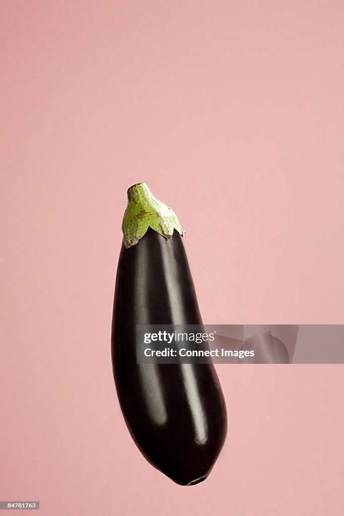 Eggplant