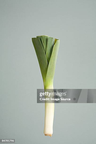 leek - leek stock pictures, royalty-free photos & images