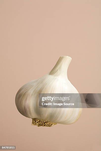 garlic bulb - garlic foto e immagini stock