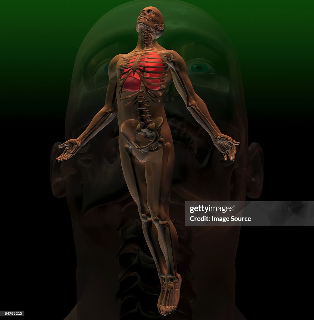 Illustration of the skeleton underneath a mans body