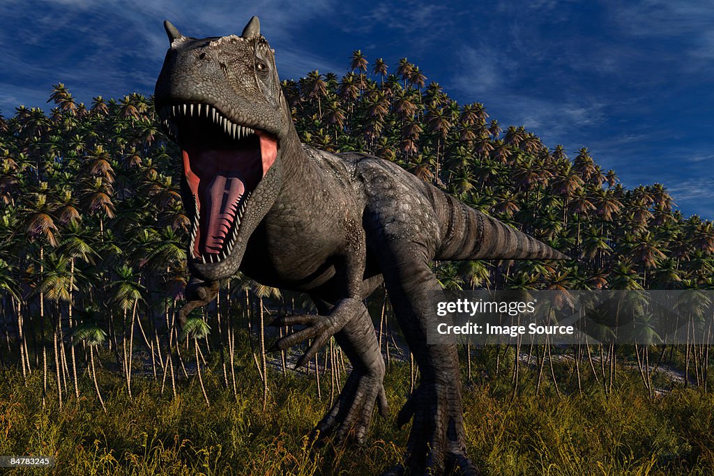 Allosaurus