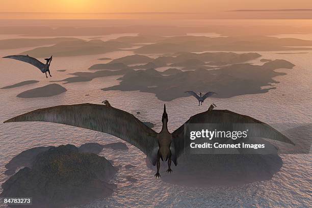 terradactyls - pterosaur stock illustrations