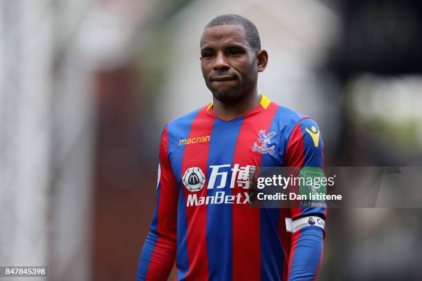 Jason Puncheon of Crystal Palace looks on after the Premier League match between Crystal Palace and Southampton at Selhurst Park on September 16,...