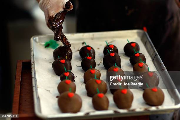 Amanda Alcoser makes chocolate dipped strawberries at Schakolad Chocolate Factory on February 13, 2009 in Davie, Florida. Chocolate, flowers and...