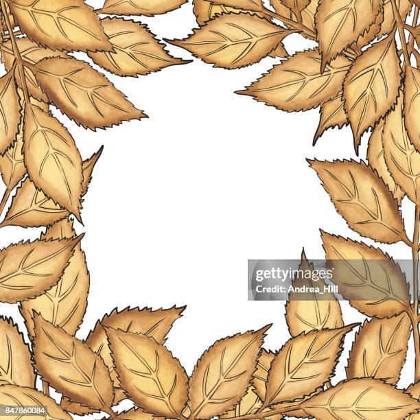 walnut leaf vector watercolor frame with copy space - walnuts white background stock illustrations
