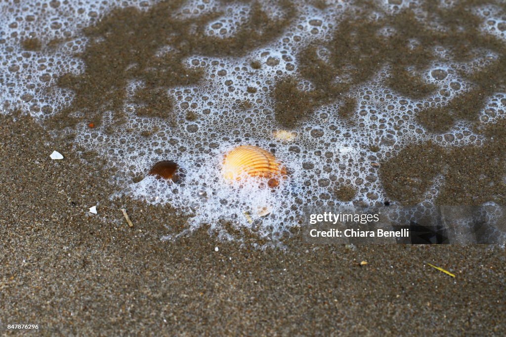 Shells broken