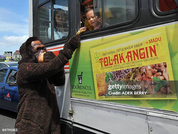 An activist from Centre for Orangutan and wearing an Orangutan costume gives bananas to passengers of a bus on Valentine's Day as part of its...