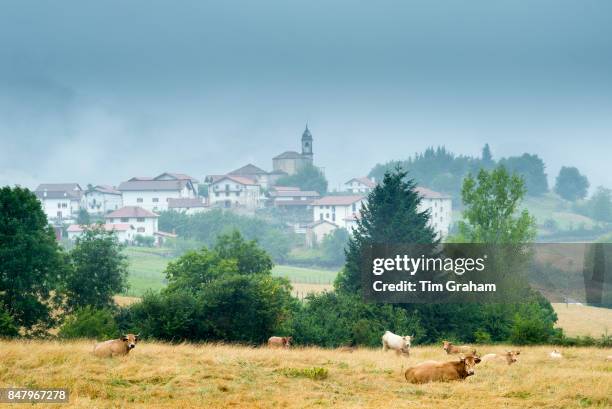 Cows in meadow and quaint Basque village of Beintza-Labaien in the mist, Basque Country, Spain.