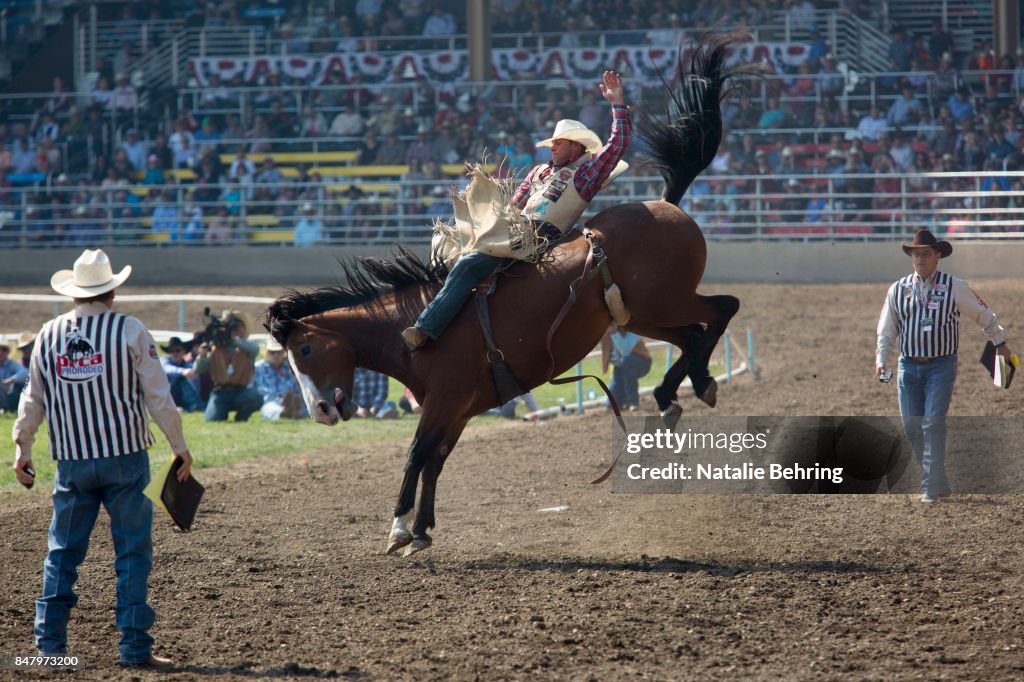 Team Roping Pendleton Rodeo A contestant hangs on to a horse as he rides bareback at the... News ...