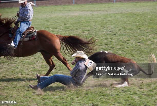 311 Pendleton Roundup Stock Photos, High-Res Pictures, and Images ...
