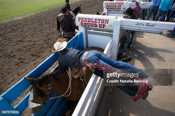 Pendleton Bronc 148 Cody Wright Stock Photos, High-Res Pictures, and Images - Getty Images