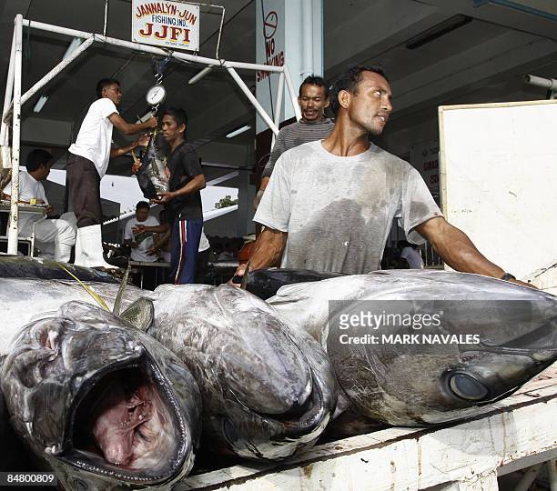 To go with "Finance-economy-Philippines-food-fish-tuna, FEATURE" by Jason Gutierrez Workers unload freshly caught yellow-fin tuna at the General...