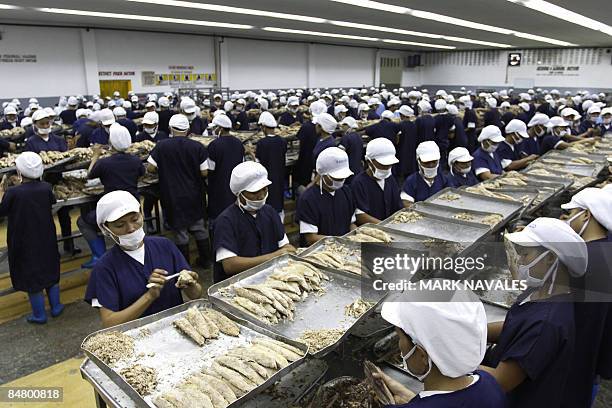 To go with "Finance-economy-Philippines-food-fish-tuna, FEATURE" by Jason Gutierrez Workers pack fresh tuna at a factory in General Santos City fish...