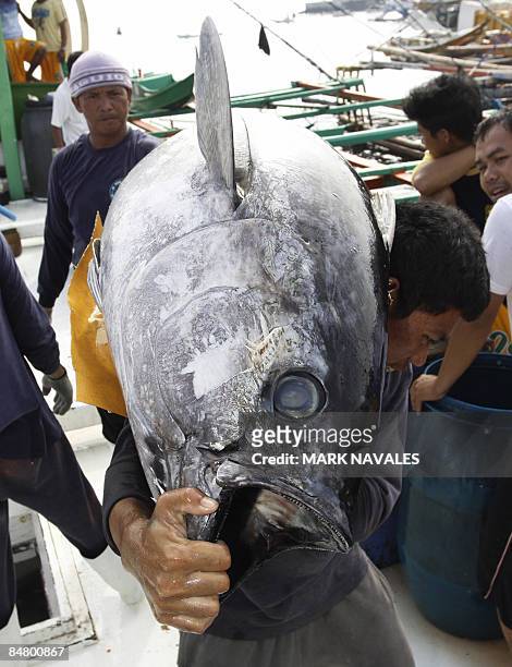 To go with "Finance-economy-Philippines-food-fish-tuna, FEATURE" by Jason Gutierrez Workers unload freshly caught yellow-fin tuna at the General...