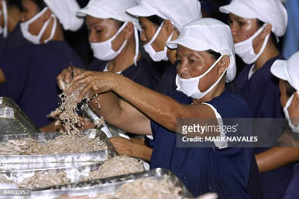 To go with "Finance-economy-Philippines-food-fish-tuna, FEATURE" by Jason Gutierrez Workers pack fresh tuna at a factory in General Santos City fish...