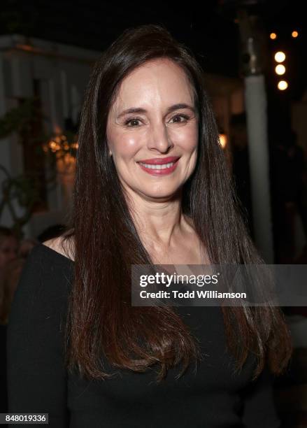 Madeleine Stowe attends the 2017 Gersh Emmy Party presented by Tequila Don Julio 1942 on on September 15, 2017 in Los Angeles, California.