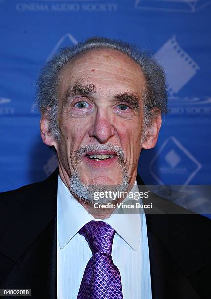 Presenter Mark Berger attends The Cinema Audio Society's 45th Annual CAS Awards on February 14, 2009 in Los Angeles, California.