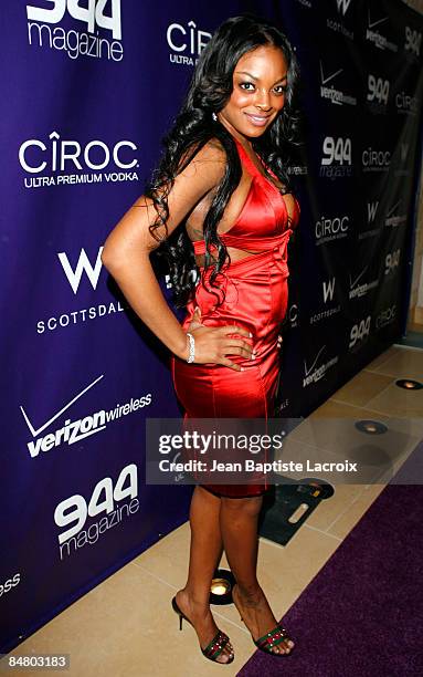 Brooke Bailey attends the Ciroc Vodka at 944 party at the W Hotel on February 14, 2009 in Scottsdale, Arizona
