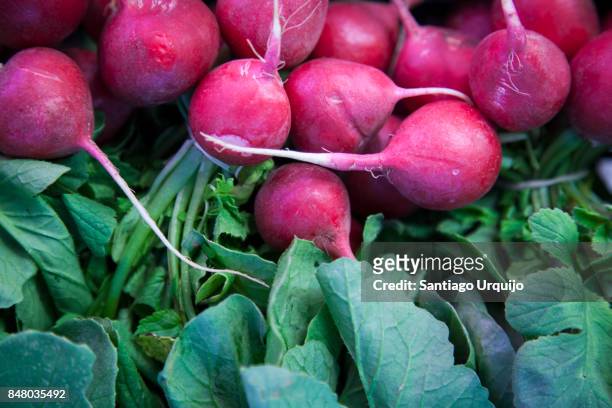 close up of turnips - turnip stock pictures, royalty-free photos & images