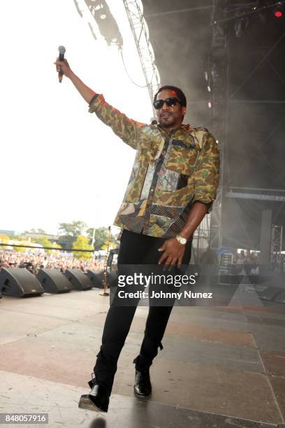 Tip performs onstage during the Meadows Music and Arts Festival - Day 2 at Citi Field on September 16, 2017 in New York City.