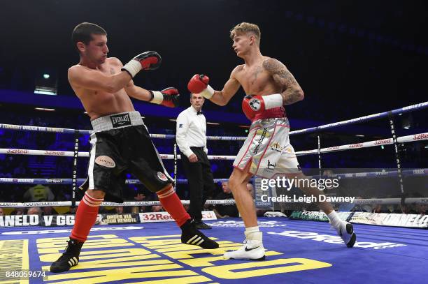 142 Archie Sharp Stock Photos, High-Res Pictures, and Images - Getty Images