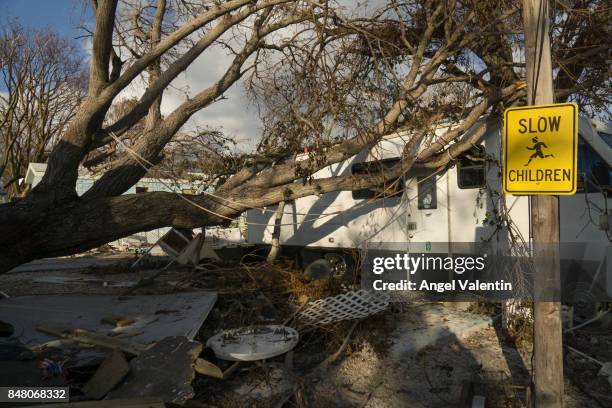 Fallen tree rests on a trailer in the Sea Breeze trailer park in Plantation Key on September 16, 2017 in Marathon, Florida. Many places in the Keys...
