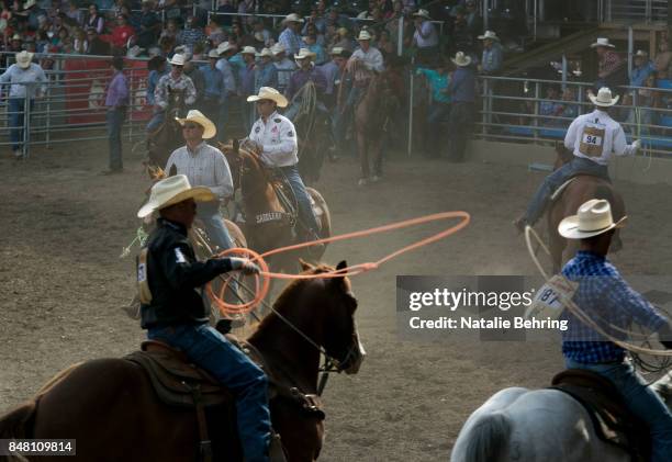 Image Or Roping 257 The Ropers Stock Photos, High-Res Pictures, and Images - Getty Images