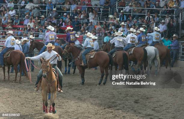 Team Roping Pendleton Rodeo 305 Pendleton Round Up Stock Photos, High-Res Pictures, and Images ...