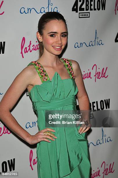 Lily Collins attends Patricia Field's birthday celebration at Amalia at The Dream Hotel on February 15, 2009 in New York City.