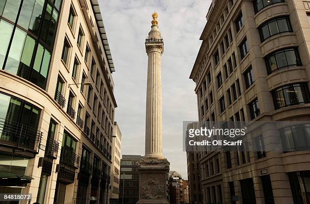 General view of The Monument, the world's tallest isolated stone column, on February 16, 2009 in London. The Monument, built to commemorate the Great...