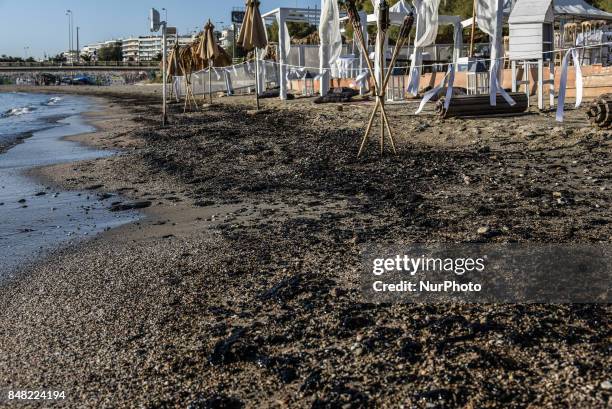 The beaches are closed due to a prohibition of the Government to swimm or fish in the oil spilled regions. Aftermath of the havarie of the tanker...